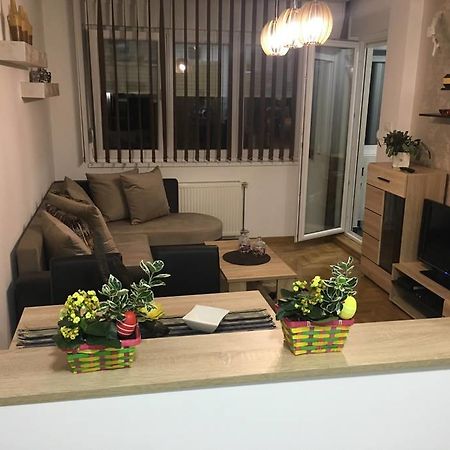 Apartment Sinisa With Garage Нови-Сад Экстерьер фото